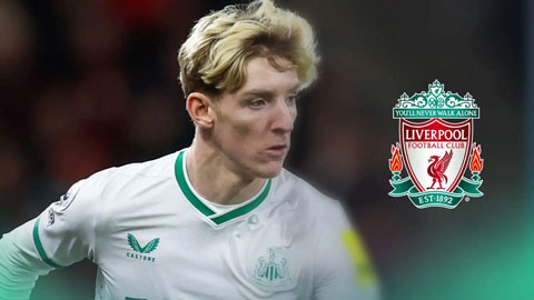 Liverpool chi 100 triệu bảng mua Anthony Gordon Liverpool chi 100 triệu bảng mua Anthony Gordon