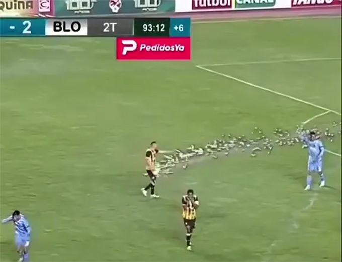 Tình huống Godoy hứng trọn pháo sáng vào vùng kín