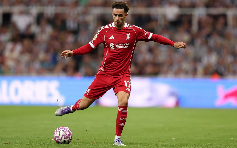 Ở Liverpool hiện nay, dường như chỉ có Curtis Jone là gương mặt bản địa có thể được đá chính