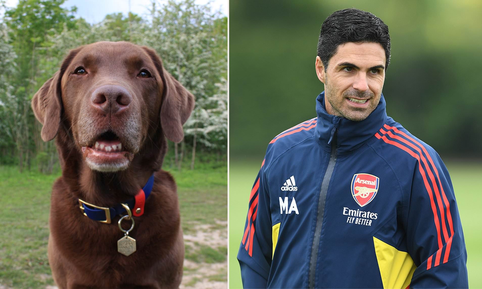 Trước khi mời nhóm phi công, Arteta cũng đã dùng đến chó để giúp các cầu thủ Arsenal