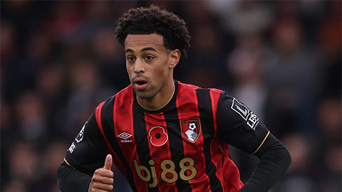 Vì sao Tyler Adams xứng đáng là số 6 lý tưởng của MU?