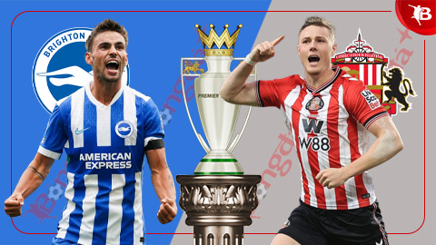 Nhận định bóng đá Brighton vs Sunderland, 22h00 ngày 20/12: Gặp phải con Mèo lì!