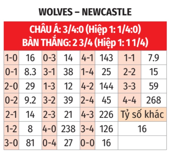 Wolves vs Newcastle