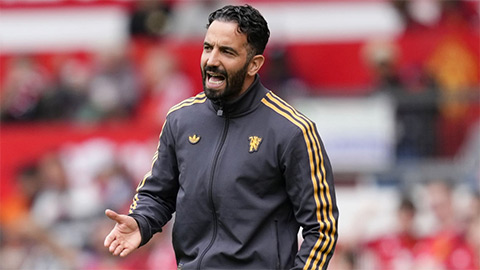 Nhìn thấy gì chưa, Amorim?