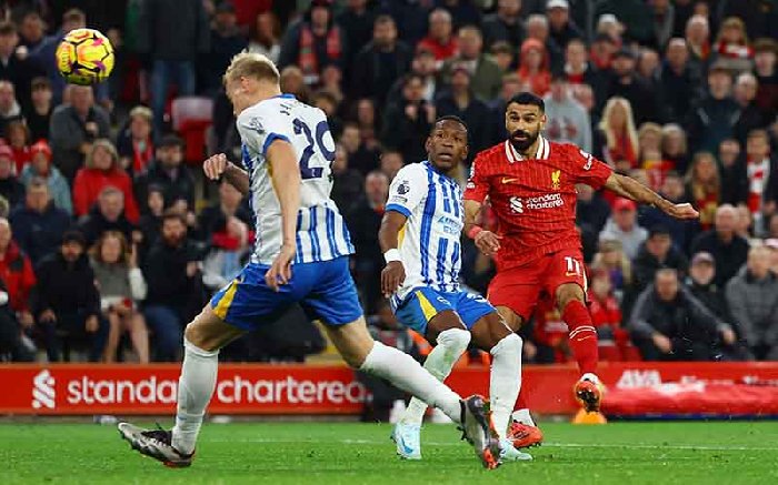  Nhận định Liverpool vs Brighton 22h00 ngày 13/12: Thử thách cho The Kop