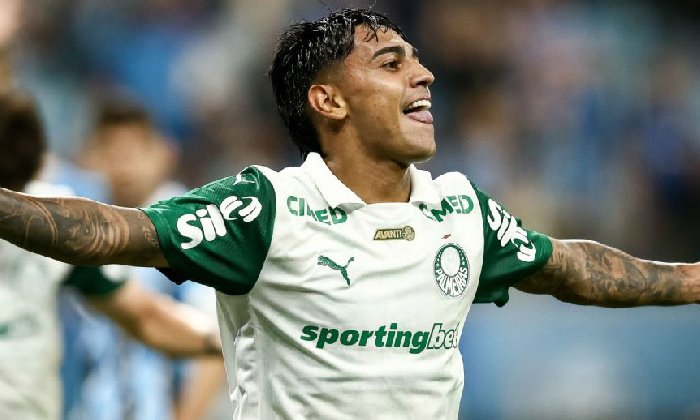  Nhận định Vasco da Gama vs Palmeiras, 05h30 ngày 13/3: Đỉnh đáy đối đầu