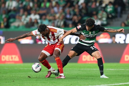 Nhận định Sporting Lisbon vs AVS Futebol, 03h05 ngày 14/12: Chiến thắng tưng bừng - Ảnh 4