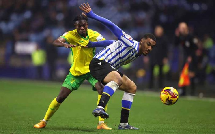  Nhận định Norwich City vs Sheffield Wednesday 2h45 ngày 26/2: Tận cùng nỗi đau