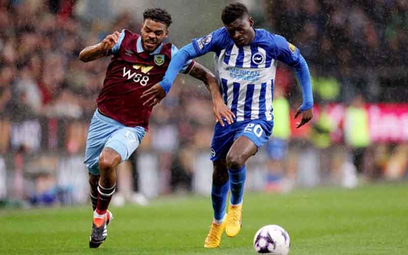 Nhận định Brighton vs Burnley 22h00 ngày 3/1: Niềm vui cho Mòng Biển - Ảnh 1