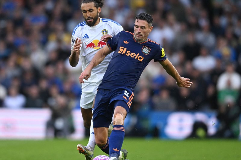 Nhận định Bolton vs Wimbledon 21h00 ngày 06/09: Chủ nhà tự tin - Ảnh 1