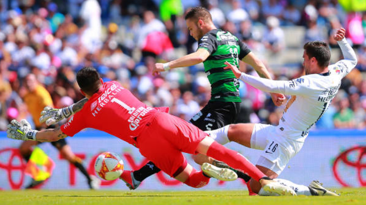 Nhận định Pumas UNAM vs Santos Laguna 10h ngày 31/1: Chiến thắng dễ dàng - Ảnh 4
