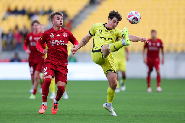 Nhận định Wellington Phoenix vs Adelaide United 11h00 ngày 29/11: Phong độ trái ngược - Ảnh 4