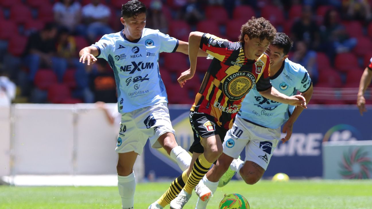 Nhận định Club Jaiba Brava vs Leones Negros 9h ngày 17/11: Ngược dòng thành công - Ảnh 4