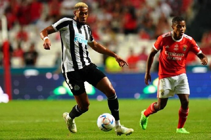  Nhận định, Soi kèo Newcastle vs Benfica 02h00 ngày 22/10: Điểm tựa sân nhà