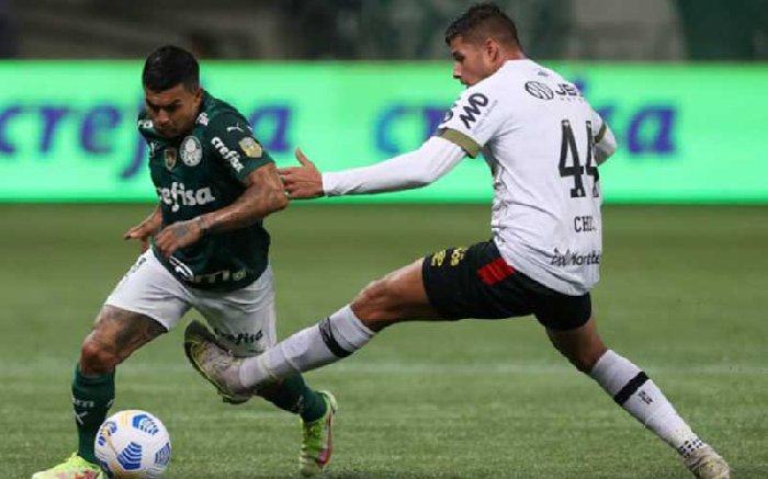  Nhận định Palmeiras vs Recife 5h00 ngày 26/8: Chủ nhà hưởng niềm vui
