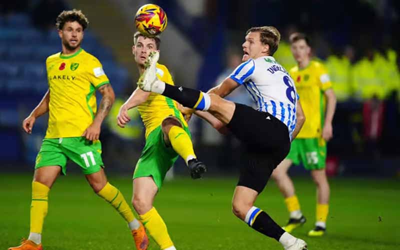 Nhận định Norwich City vs Sheffield Wednesday 2h45 ngày 26/2: Tận cùng nỗi đau - Ảnh 1