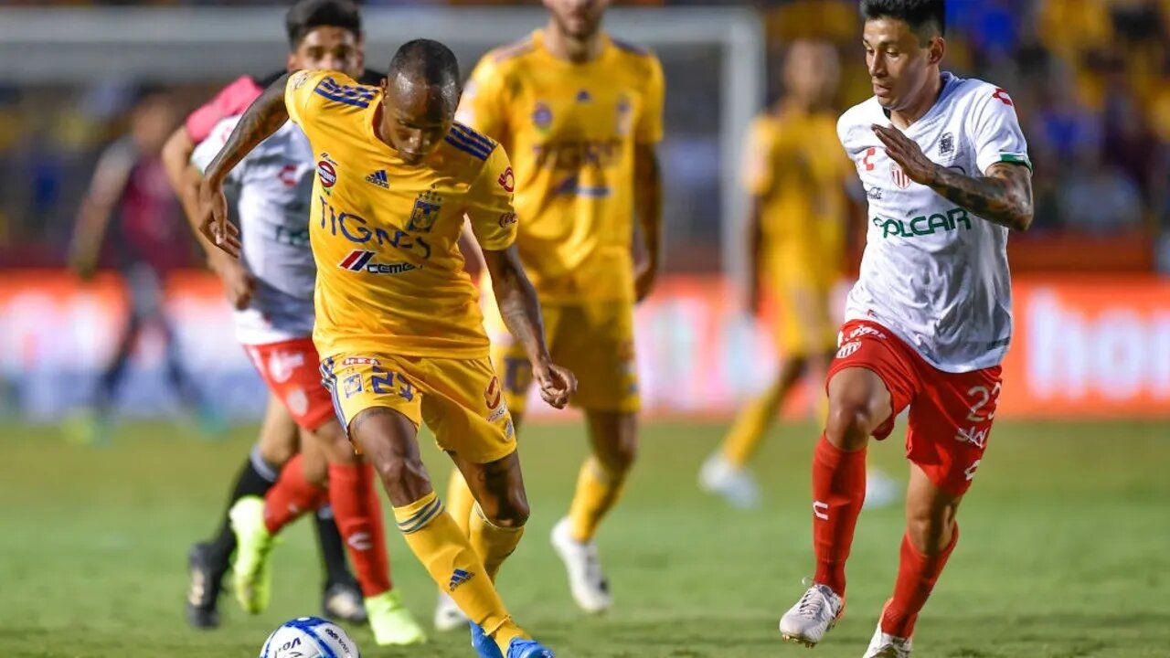 Nhận định Tigres UANL vs Club Necaxa 10h ngày 18/10: Mở tiệc bàn thắng - Ảnh 4