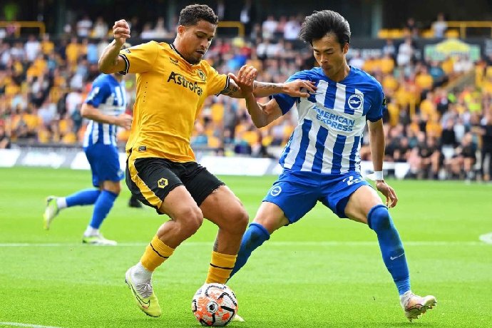  Nhận định Wolves vs Brighton, 20h00 ngày 5/10: Chìm sâu vào khủng hoảng