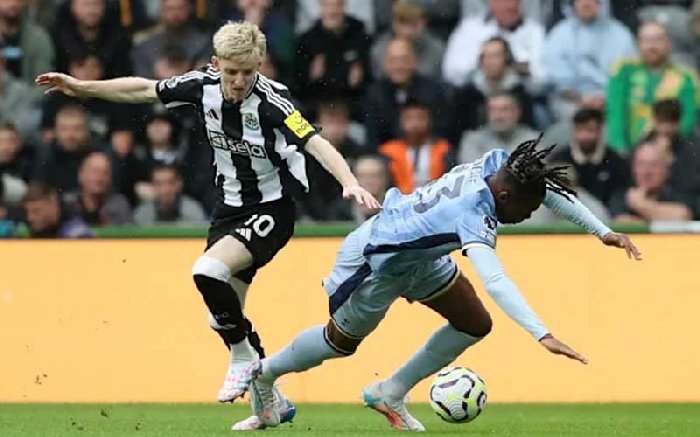  Nhận định Tottenham vs Newcastle 2h30 ngày 11/2: Khó thua trên sân nhà