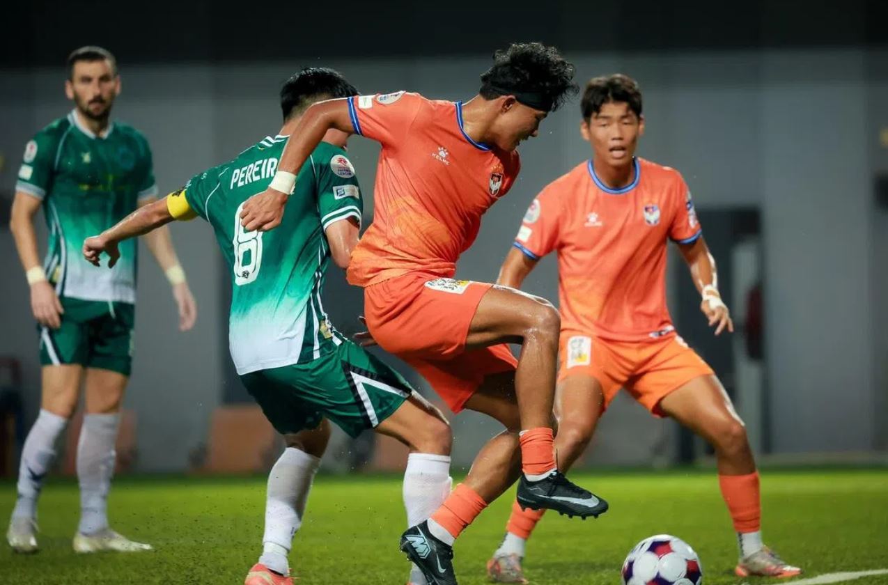 Nhận định Albirex Niigata vs Geylang International 18h30 ngày 2/2: 3 điểm ở lại - Ảnh 4