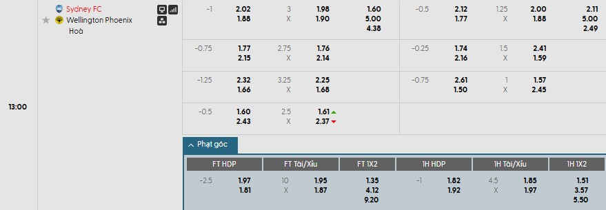 Nhật định phạt góc Sydney vs Wellington Phoenix, 13h ngày 18/01 - Ảnh 1