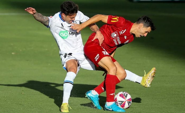 Nhận định, Soi kèo Auckland vs Adelaide United 11h00 ngày 1/11: 3 điểm ở lại  Nhận định, Soi kèo Auckland vs Adelaide United 11h00 ngày 1/11: 3 điểm ở lại