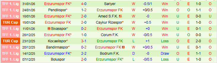Nhận định Fenerbahce vs Erzurumspor 0h00 ngày 6/2: Bản lĩnh cửa trên - Ảnh 3