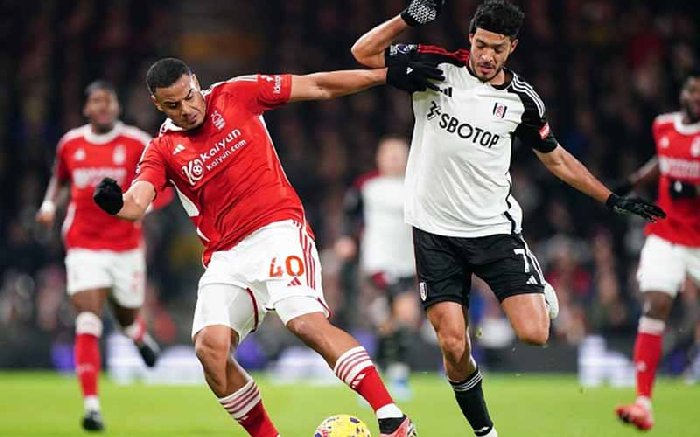  Nhận định Fulham vs Nottingham 2h00 ngày 27/7: Không có nhiều bàn thắng