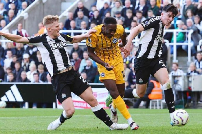  Nhận định, Soi kèo Brighton vs Newcastle 21h00 ngày 18/10: Điểm tựa sân nhà