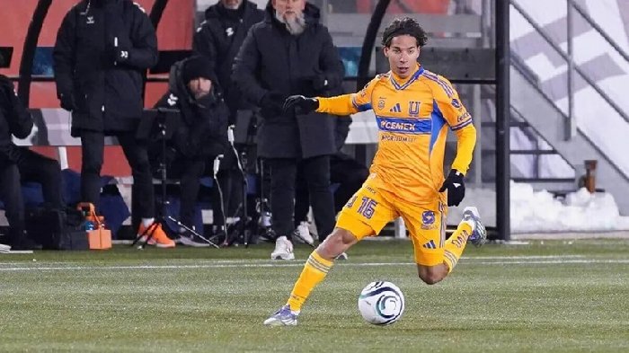 Nhận định Tigres UANL vs Pachuca 8h ngày 21/2: Run sợ trước Bầy hổ