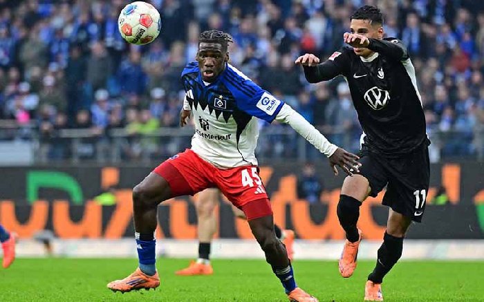  Nhận định Wolfsburg vs Hamburger 21h30 ngày 7/3: Chủ nhà khủng hoảng