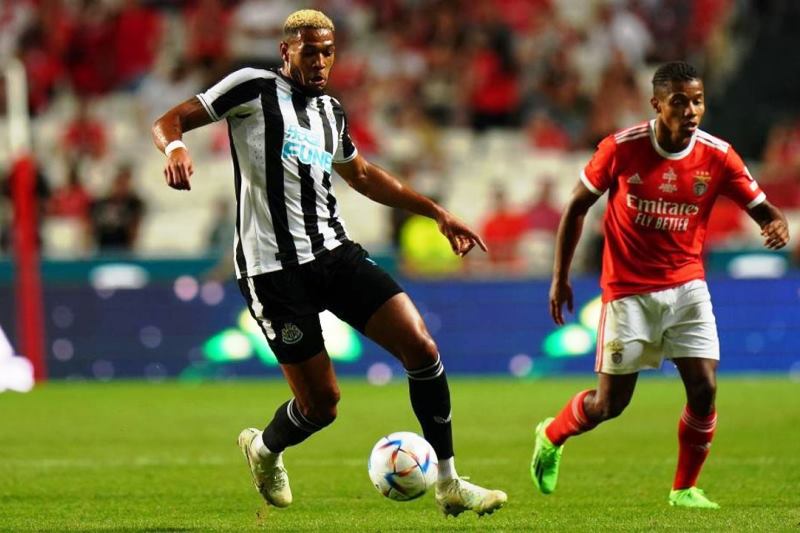 Nhận định Newcastle vs Benfica 02h00 ngày 22/10: Điểm tựa sân nhà - Ảnh 1