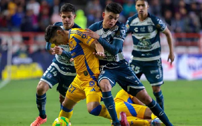  Nhận định, Soi kèo Pachuca vs Tigres UANL 8h00 ngày 23/10: Mang điểm về nhà