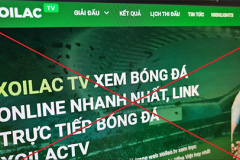 BLV Batman, Người Rơm của Xôi Lạc TV bị bắt