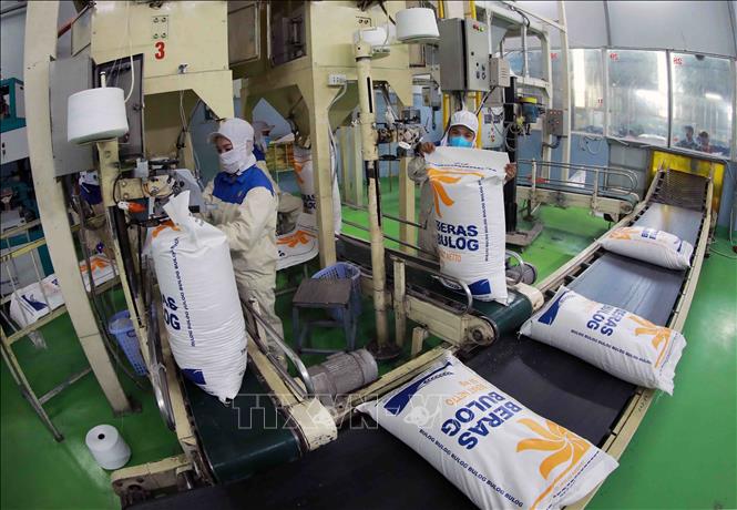 Giá gạo xuất khẩu xuống thấp: Động lực để phát triển thị trường mới Giá gạo xuất khẩu xuống thấp: Động lực để phát triển thị trường mới