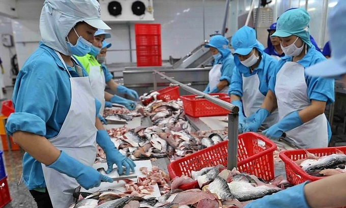 Cá tra kỳ vọng tăng trưởng xuất khẩu 10%