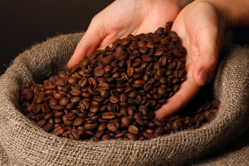 2 nguyên nhân đẩy Arabica tiếp tục tăng mạnh 2 nguyên nhân đẩy Arabica tiếp tục tăng mạnh