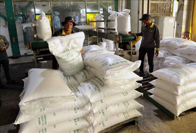Thị trường nông sản: Giá xuất khẩu gạo tiếp tục tăng Thị trường nông sản: Giá xuất khẩu gạo tiếp tục tăng