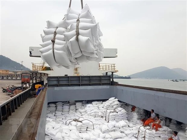 Gạo xuất khẩu tiếp tục lao dốc Gạo xuất khẩu tiếp tục lao dốc